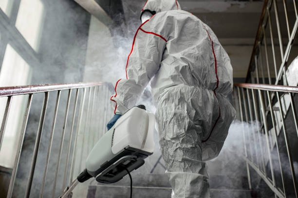 Mold Odor Removal Services in Bruce, MS